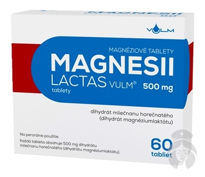 MAGNES.LACT.VUS 60X500MG